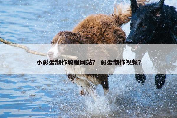 小彩蛋制作教程网站？ 彩蛋制作视频？