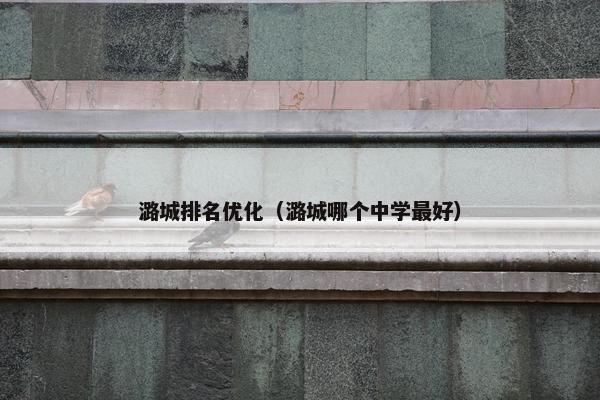 潞城排名优化（潞城哪个中学最好）