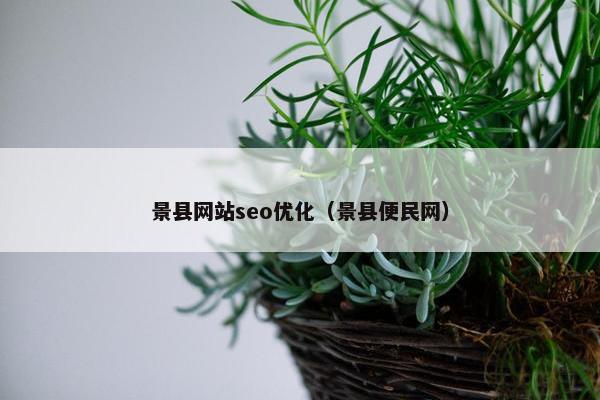 景县网站seo优化（景县便民网）