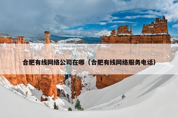 合肥有线网络公司在哪（合肥有线网络服务电话）