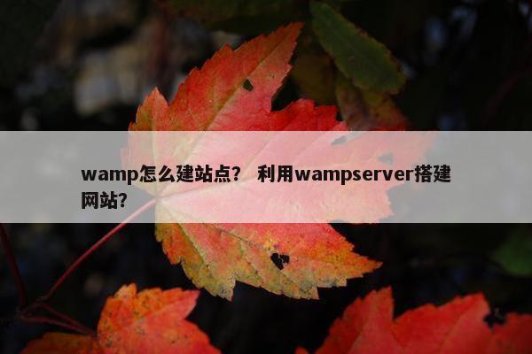 wamp怎么建站点？ 利用wampserver搭建网站？
