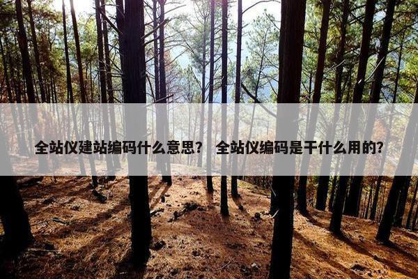 全站仪建站编码什么意思？ 全站仪编码是干什么用的？