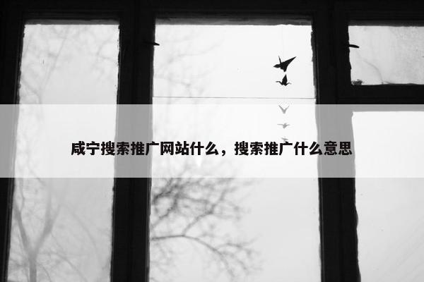咸宁搜索推广网站什么，搜索推广什么意思