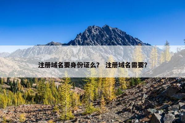 注册域名要身份证么？ 注册域名需要？