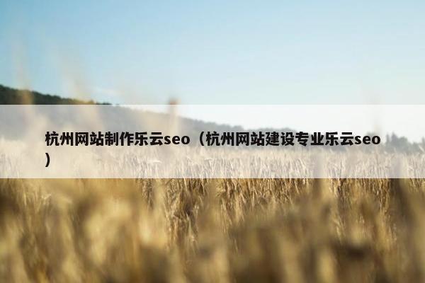 杭州网站制作乐云seo（杭州网站建设专业乐云seo）