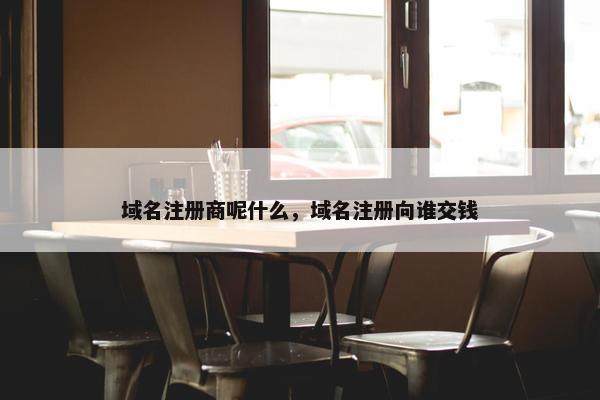 域名注册商呢什么，域名注册向谁交钱