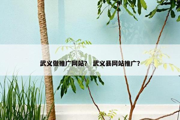 武义做推广网站？ 武义县网站推广？