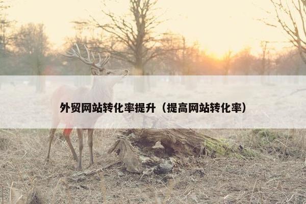 外贸网站转化率提升（提高网站转化率）