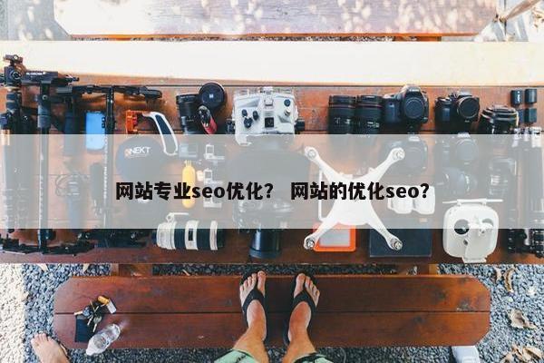 网站专业seo优化？ 网站的优化seo？