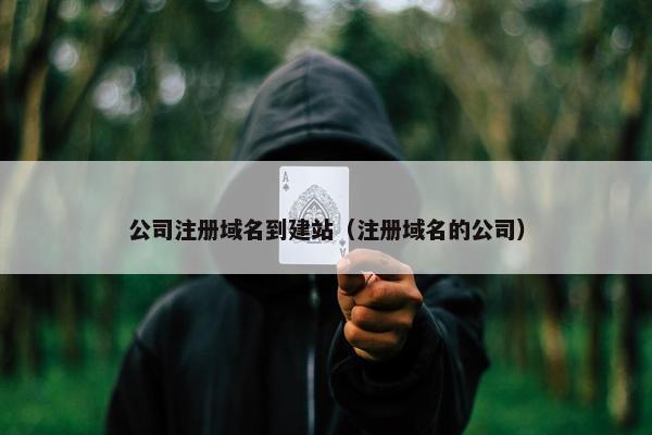 公司注册域名到建站（注册域名的公司）