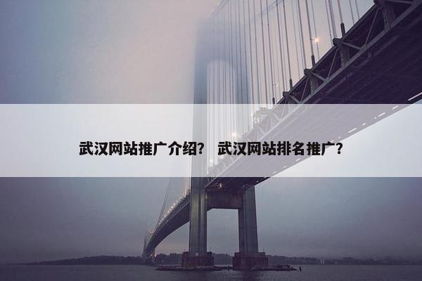 武汉网站推广介绍？ 武汉网站排名推广？