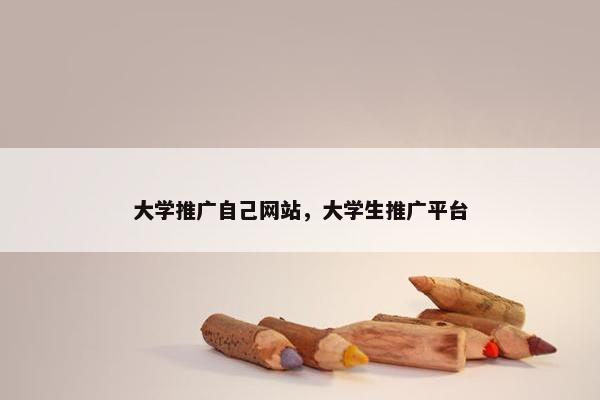 大学推广自己网站，大学生推广平台