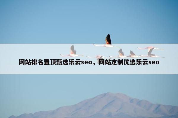 网站排名置顶甄选乐云seo，网站定制优选乐云seo