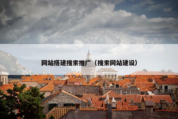 网站搭建搜索推广（搜索网站建设）