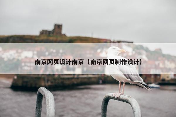 南京网页设计南京（南京网页制作设计）