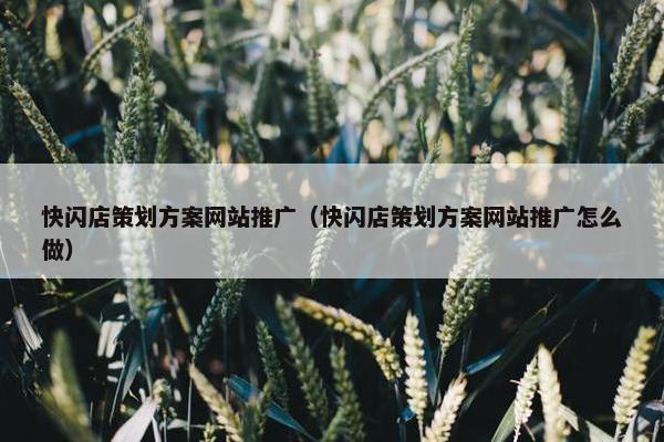 快闪店策划方案网站推广（快闪店策划方案网站推广怎么做）