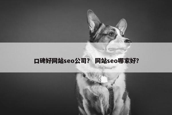 口碑好网站seo公司？ 网站seo哪家好？