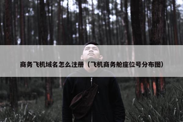 商务飞机域名怎么注册（飞机商务舱座位号分布图）