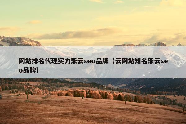 网站排名代理实力乐云seo品牌（云网站知名乐云seo品牌）