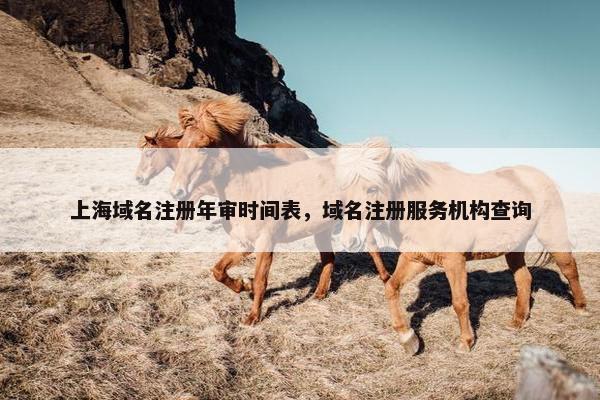 上海域名注册年审时间表，域名注册服务机构查询
