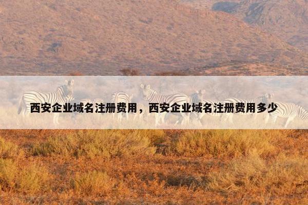 西安企业域名注册费用，西安企业域名注册费用多少
