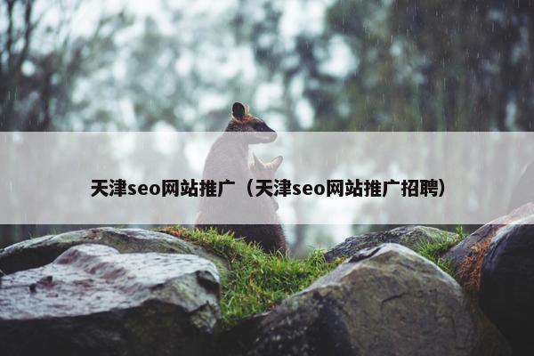 天津seo网站推广（天津seo网站推广招聘）