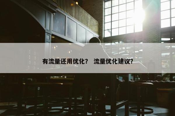 有流量还用优化？ 流量优化建议？