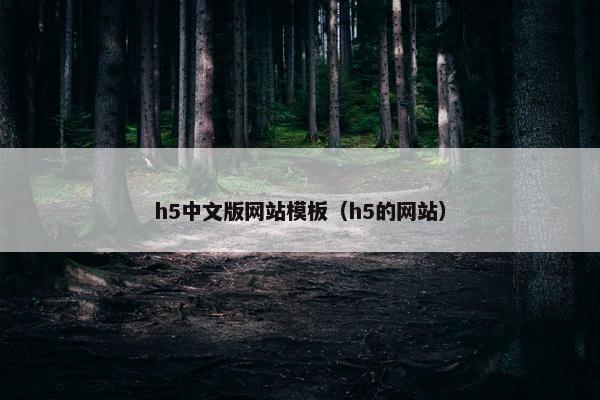 h5中文版网站模板（h5的网站）