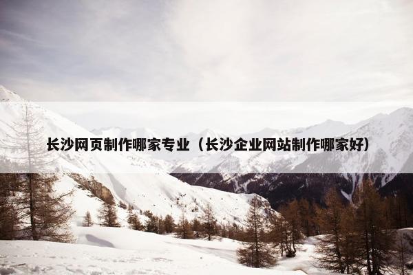 长沙网页制作哪家专业（长沙企业网站制作哪家好）