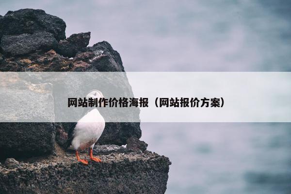 网站制作价格海报（网站报价方案）