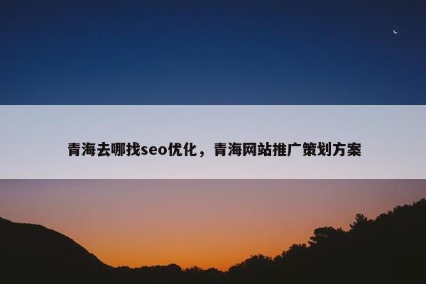 青海去哪找seo优化，青海网站推广策划方案
