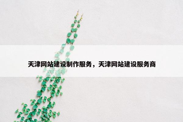 天津网站建设制作服务，天津网站建设服务商
