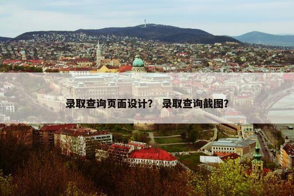 录取查询页面设计？ 录取查询截图？