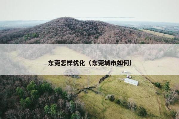 东莞怎样优化（东莞城市如何）