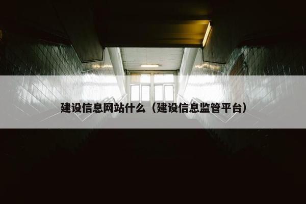 建设信息网站什么（建设信息监管平台）