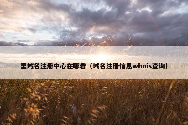 里域名注册中心在哪看（域名注册信息whois查询）