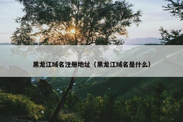 黑龙江域名注册地址（黑龙江域名是什么）