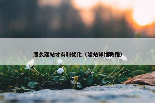 怎么建站才有利优化（建站详细教程）