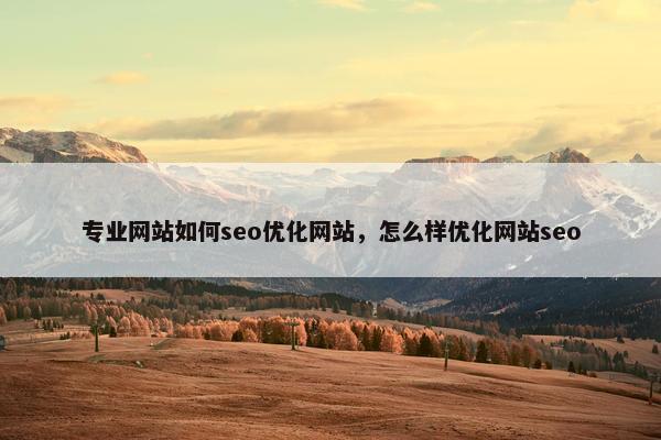专业网站如何seo优化网站，怎么样优化网站seo