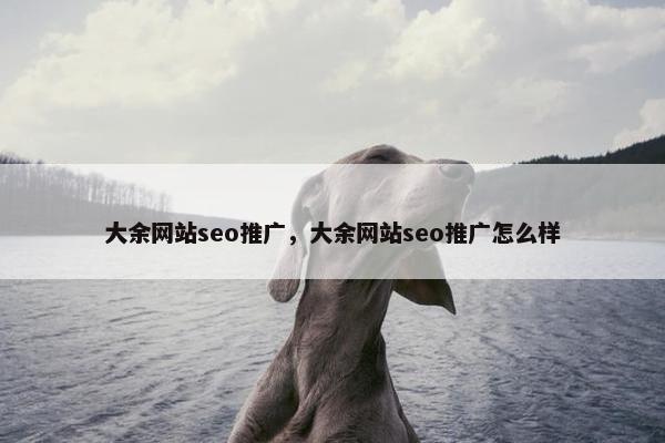 大余网站seo推广，大余网站seo推广怎么样