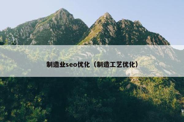 制造业seo优化（制造工艺优化）