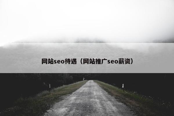 网站seo待遇（网站推广seo薪资）