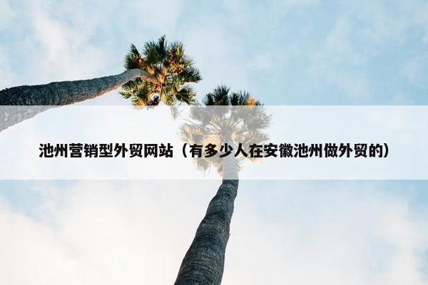 池州营销型外贸网站（有多少人在安徽池州做外贸的）
