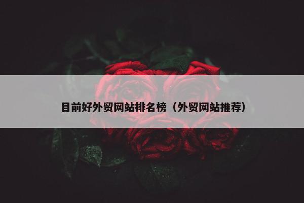 目前好外贸网站排名榜（外贸网站推荐）