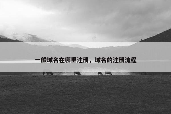 一般域名在哪里注册，域名的注册流程