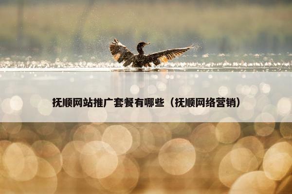 抚顺网站推广套餐有哪些（抚顺网络营销）