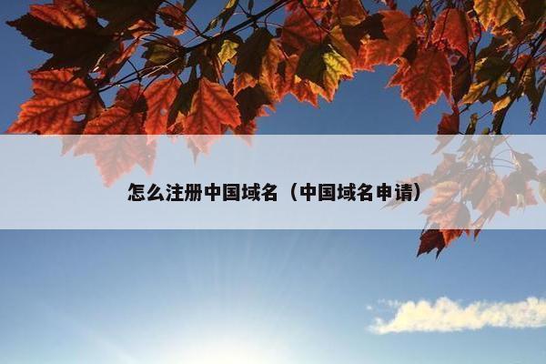 怎么注册中国域名（中国域名申请）