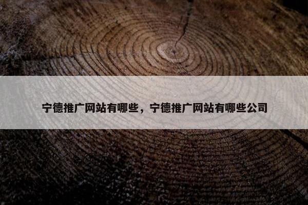 宁德推广网站有哪些，宁德推广网站有哪些公司