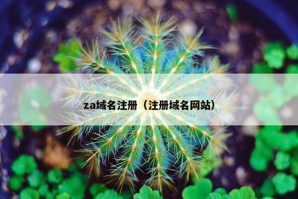 za域名注册（注册域名网站）