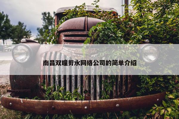 南昌双瞳剪水网络公司的简单介绍